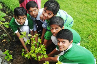 Tree Plantation Drive Sai Charitable Lab